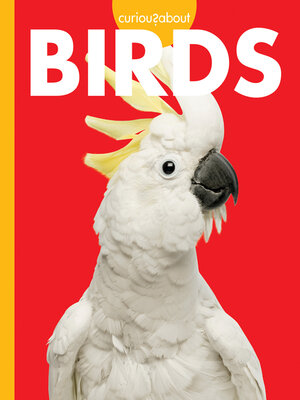 cover image of Curious about Birds